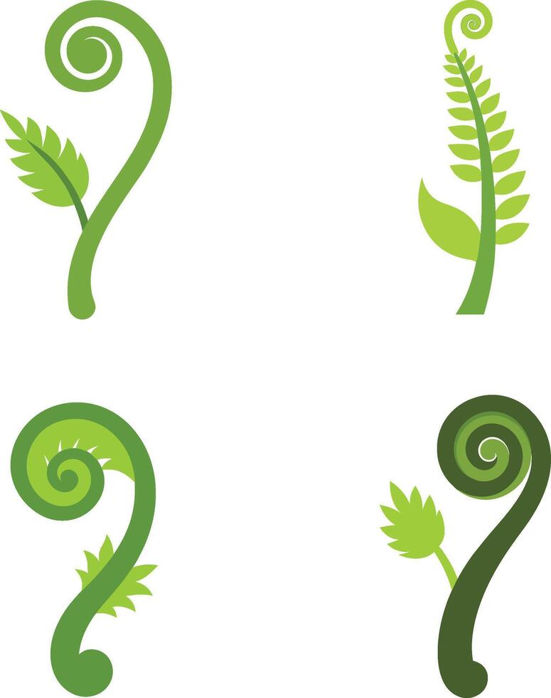 Vegetable Fern Illustration vector
