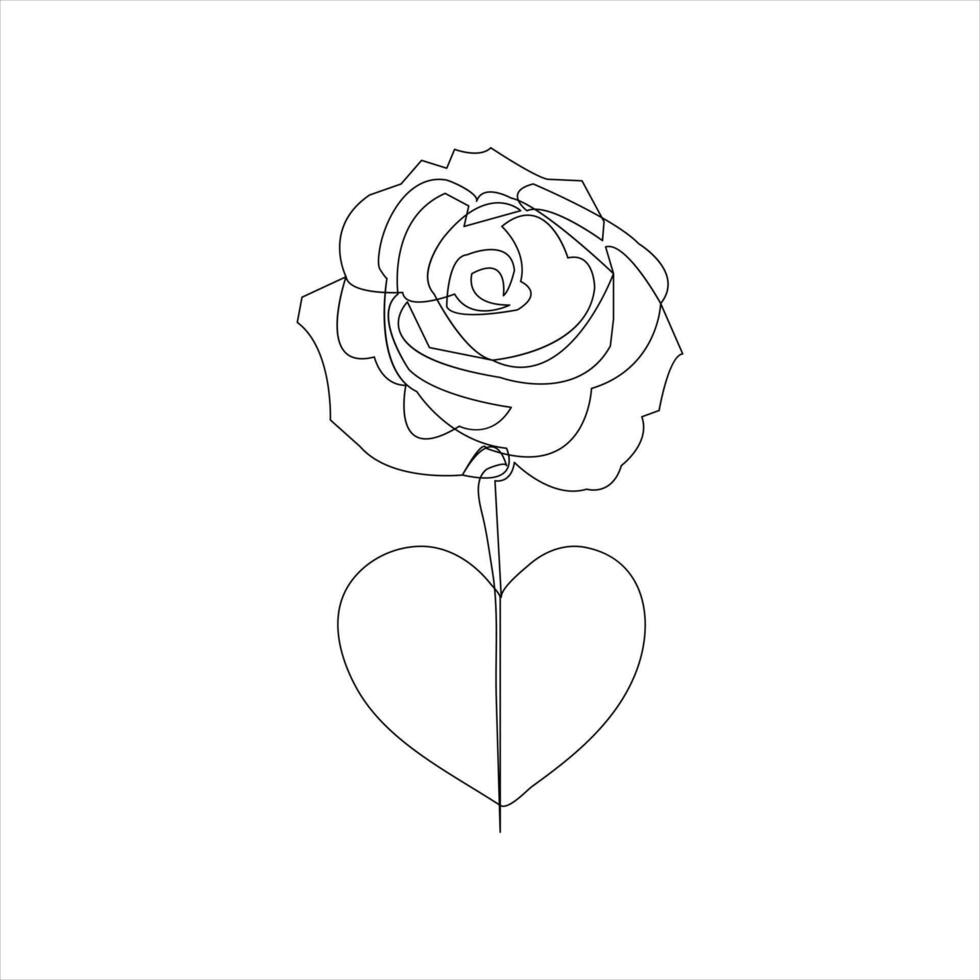 Rose art with one line minimalist floral sketch style vector