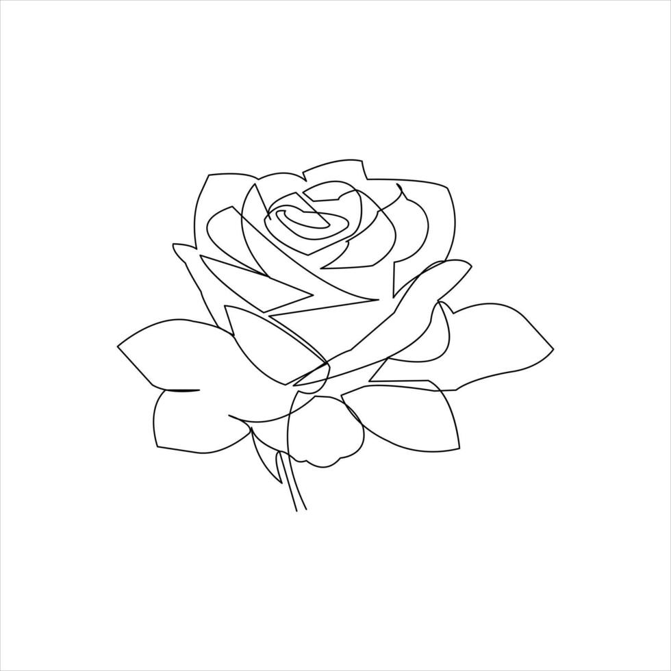 Simple and elegant rose flower in continuous line style vector