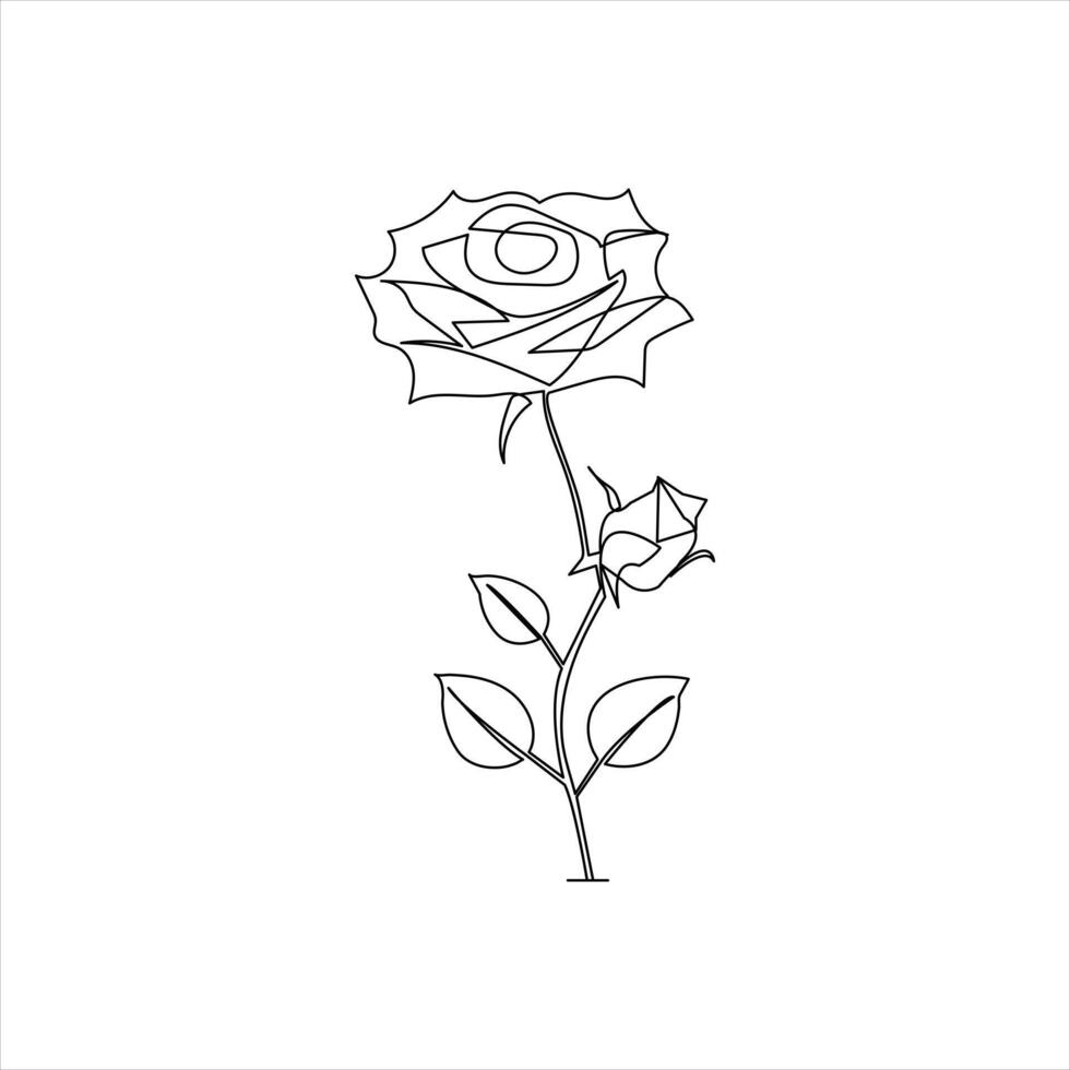 Rose line art illustration with minimal single stroke drawing vector