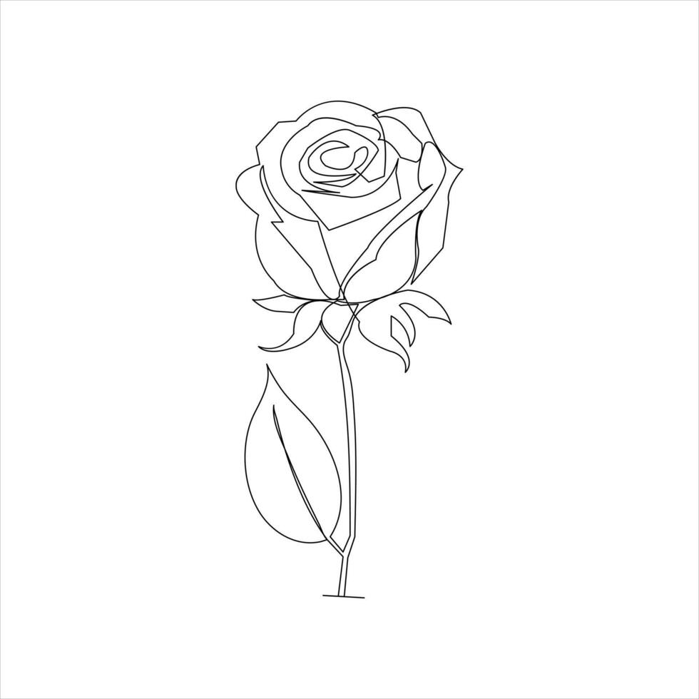Elegant and simple rose flower outline in continuous line vector