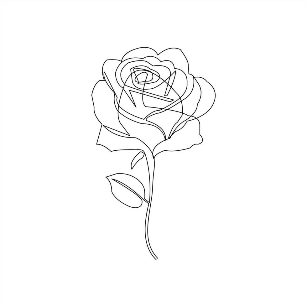 Continuous one line rose flower illustration in modern style vector