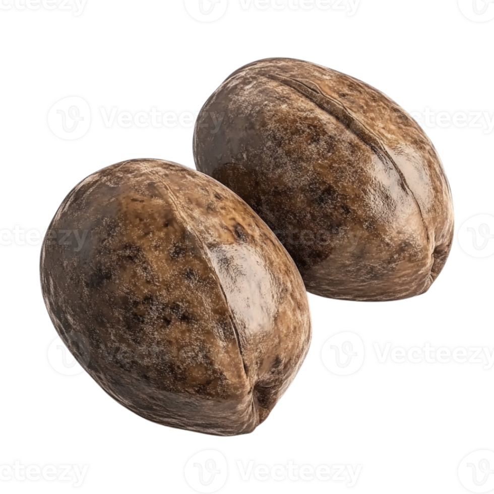 two nuts on a transparent background png