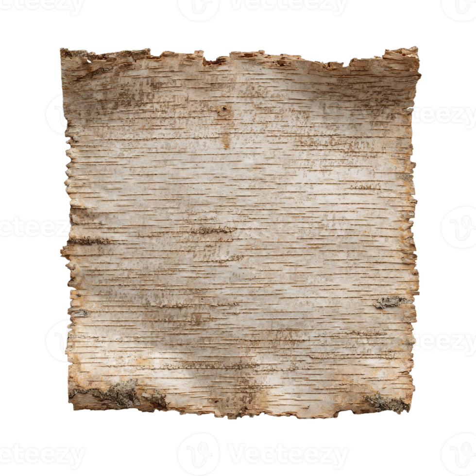 Ancient birch bark blank canvas for writing and natural crafts png