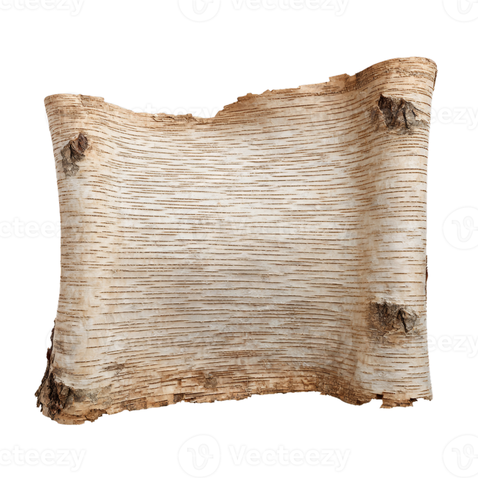 Ancient birch bark scroll for writing and nature-inspired design projects png