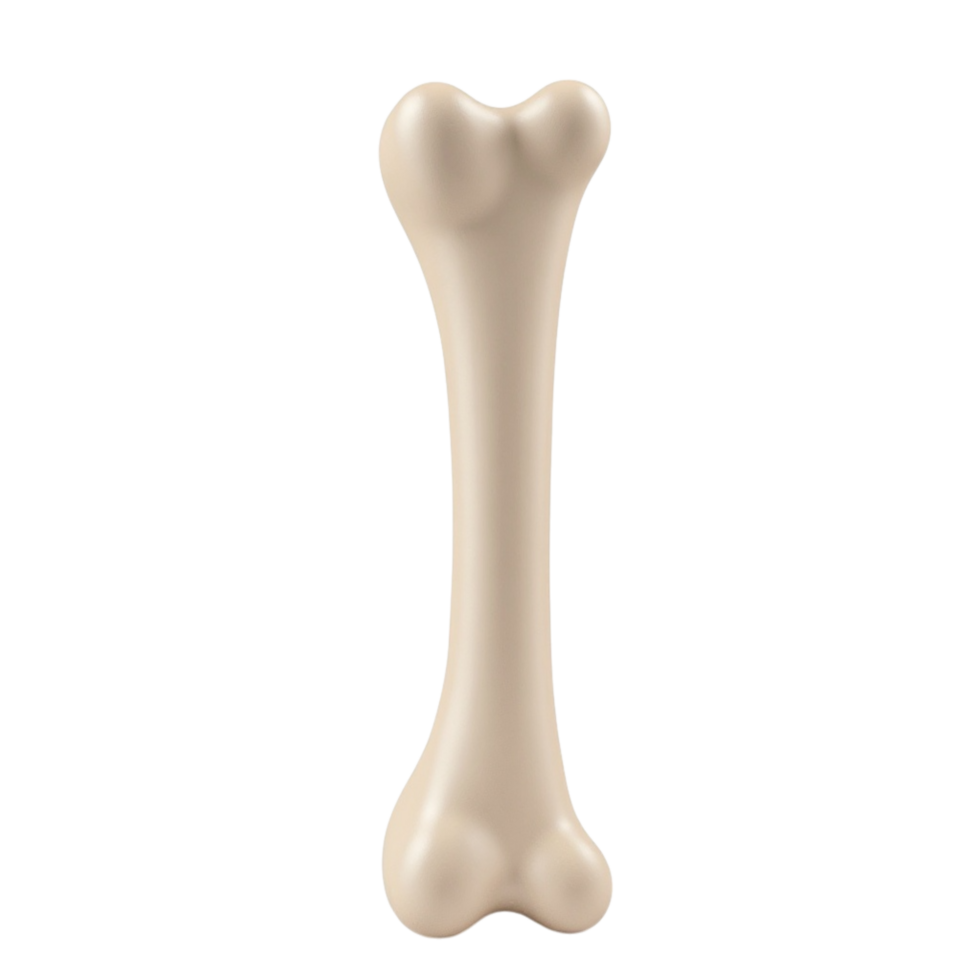 Anatomical Representation of a Human Femur Bone Isolated on Black Background Transparent File png