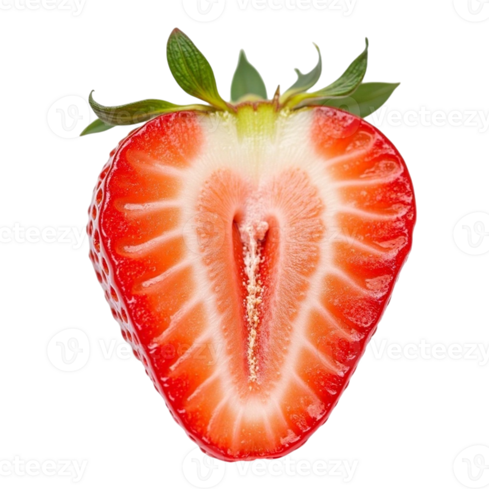 Detailed cross-section view of a fresh half strawberry fruit on transparent background file png