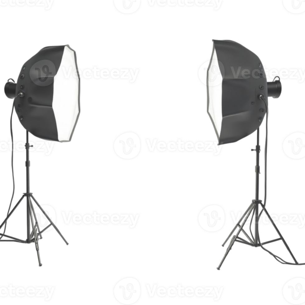 Professional photography studio lighting setup with two softboxes png