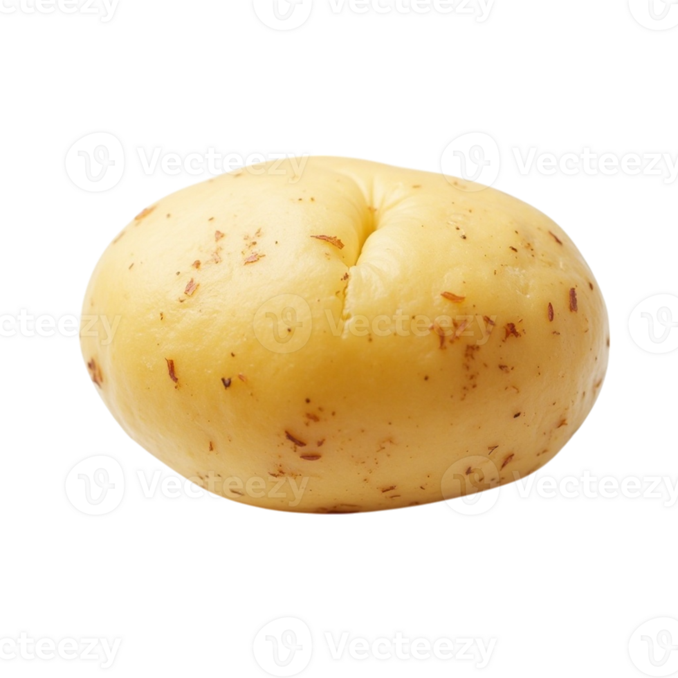 Raw whole potato tuber closeup isolated file with transparent background png