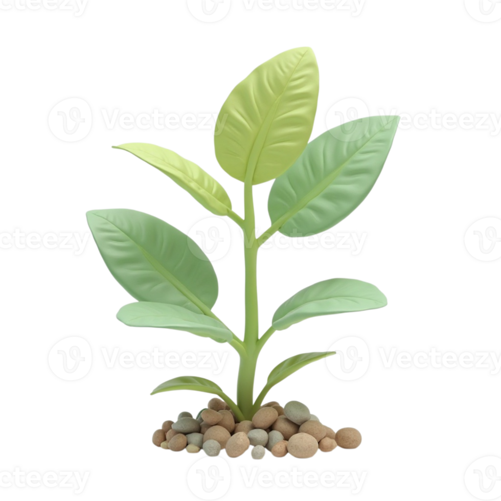 Stylized Young Green Plant Growing from Pebbles Illustration with Transparent Background png