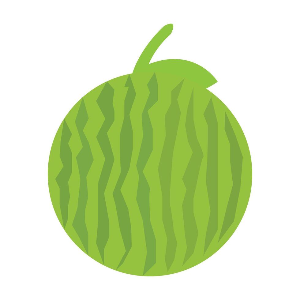 Green watermelon with stripes and a leaf isolated on white background vector
