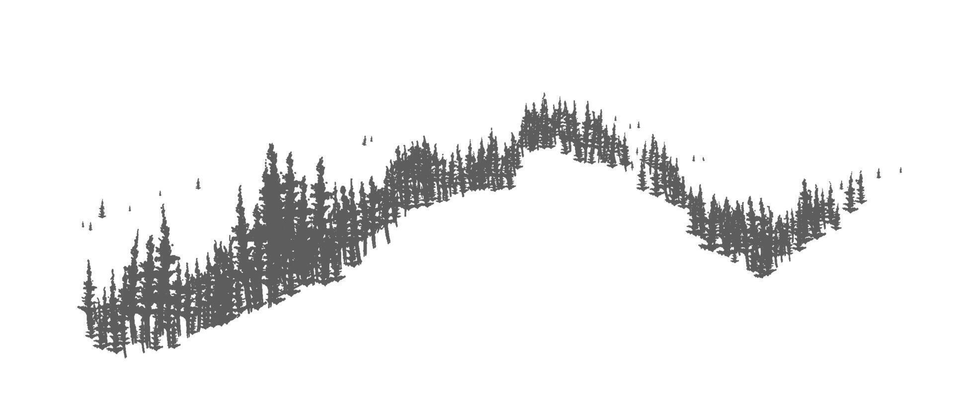 Coniferous forest landscape with hand drawn trees growing on hills or mountains. Woodland panorama with firs or spruces. Monochrome decoration isolated on white background. illustration. vector
