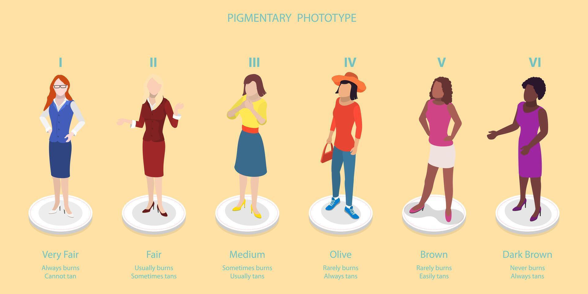 Skin pigmentary types illustration vector