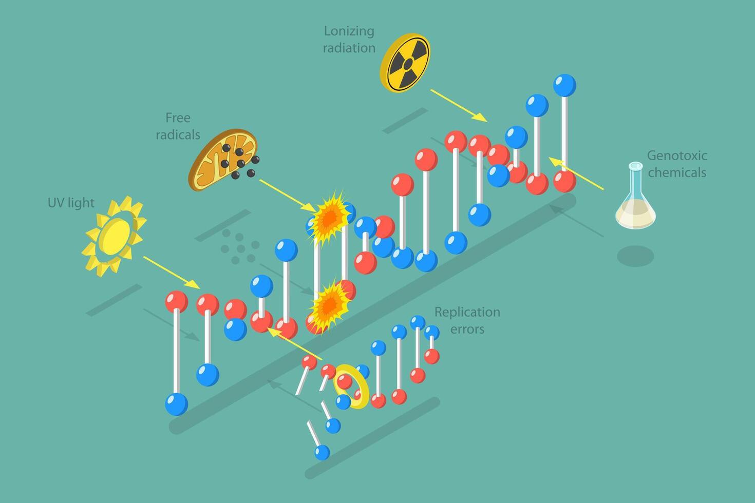 Genetic mutations caused by environmental factors vector