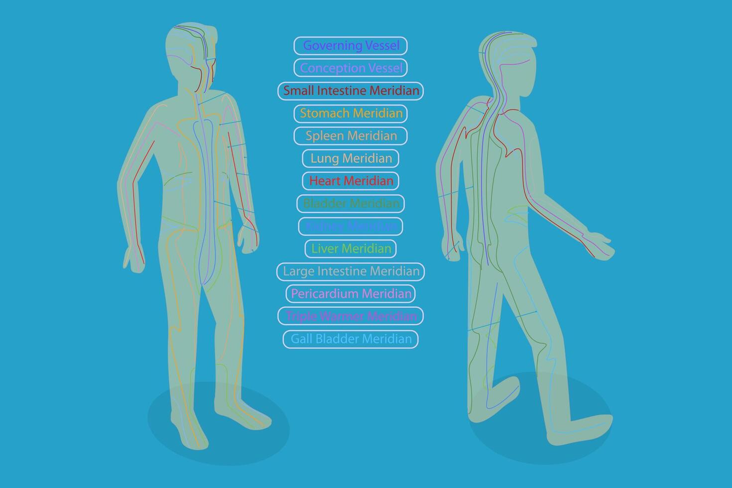 3D Isometric Flat Conceptual Illustration of Body Meredians, Traditional Chinese Medicine vector