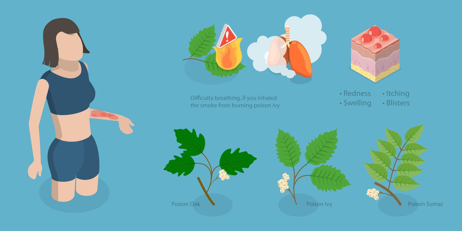 3D Isometric Flat Conceptual Illustration of Poison Ivy, Allergy to Poison Plants vector