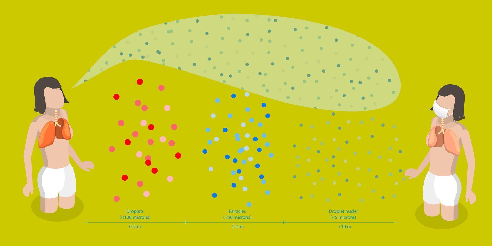 Droplet size comparison in respiratory transmission vector