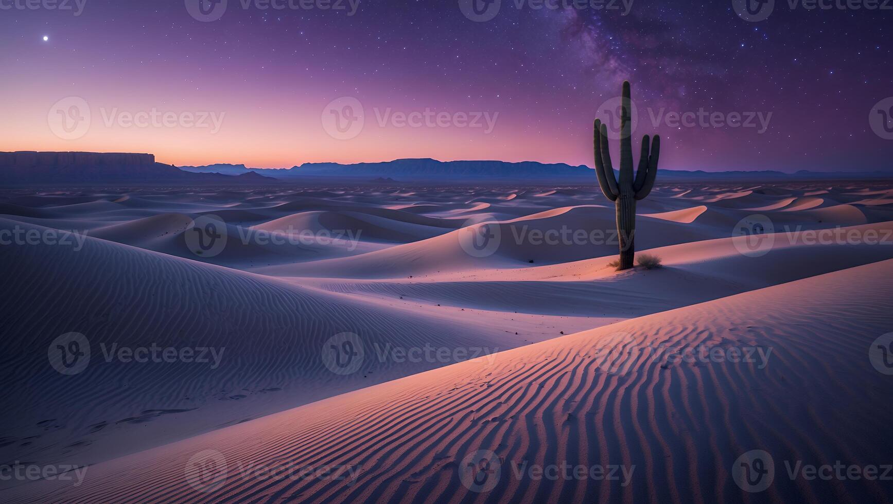 Cactus Stands Tall in Desert Landscape Under Starry Night Sky photo