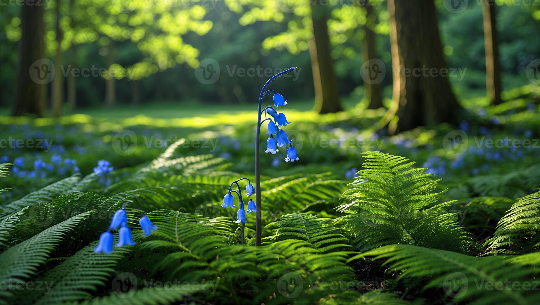 Bluebell Flowers Blooming Among Green Ferns in a Forest Meadow photo