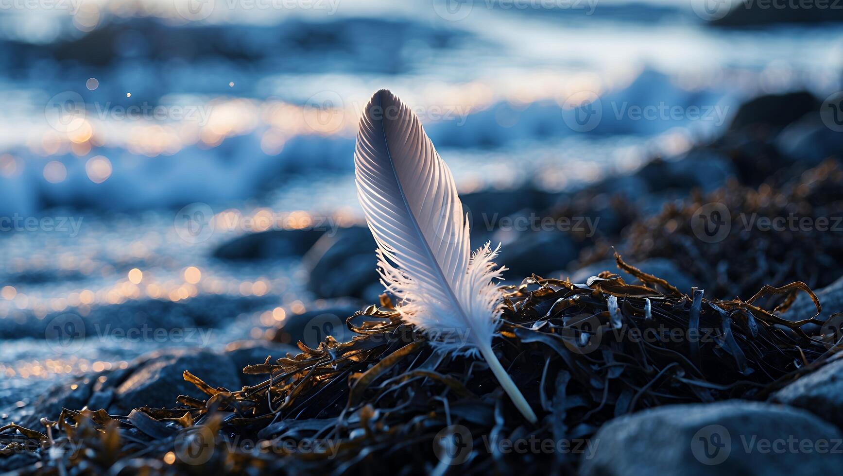 Feather on the Rocky Shoreline at Dusk with Gentle Waves photo
