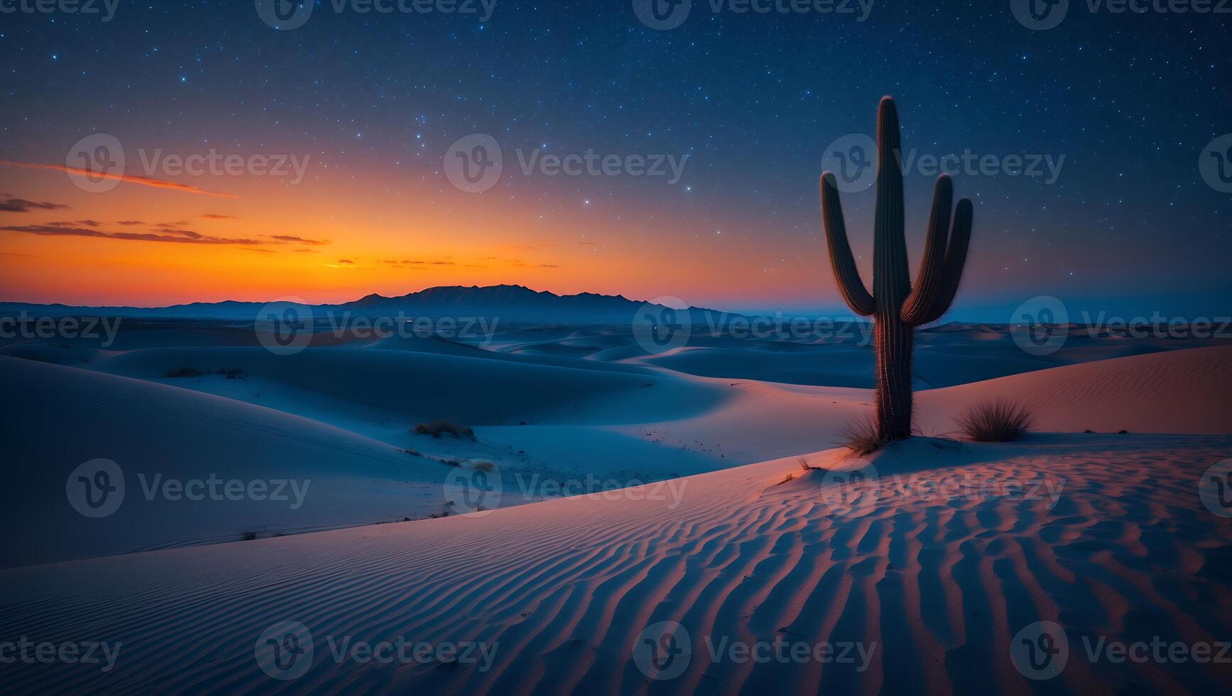 Cactus Standing in Desert Sand Dunes at Dusk with Starry Sky photo