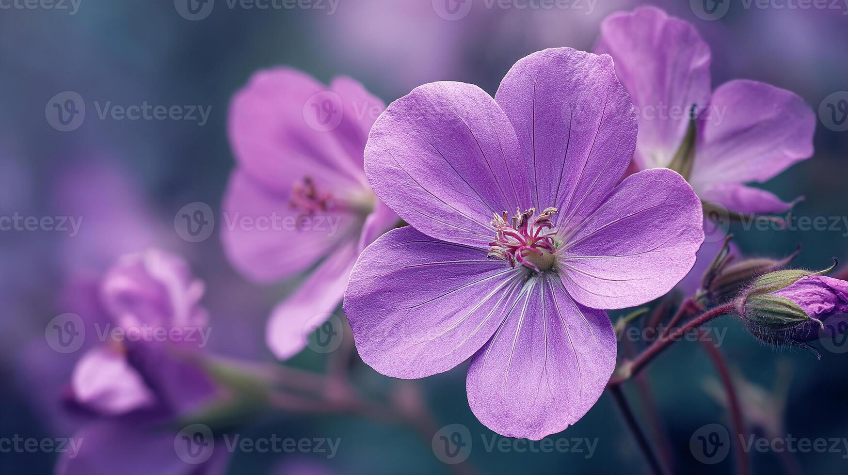 Radiant flower bloom with realistic wallpaper texture photo