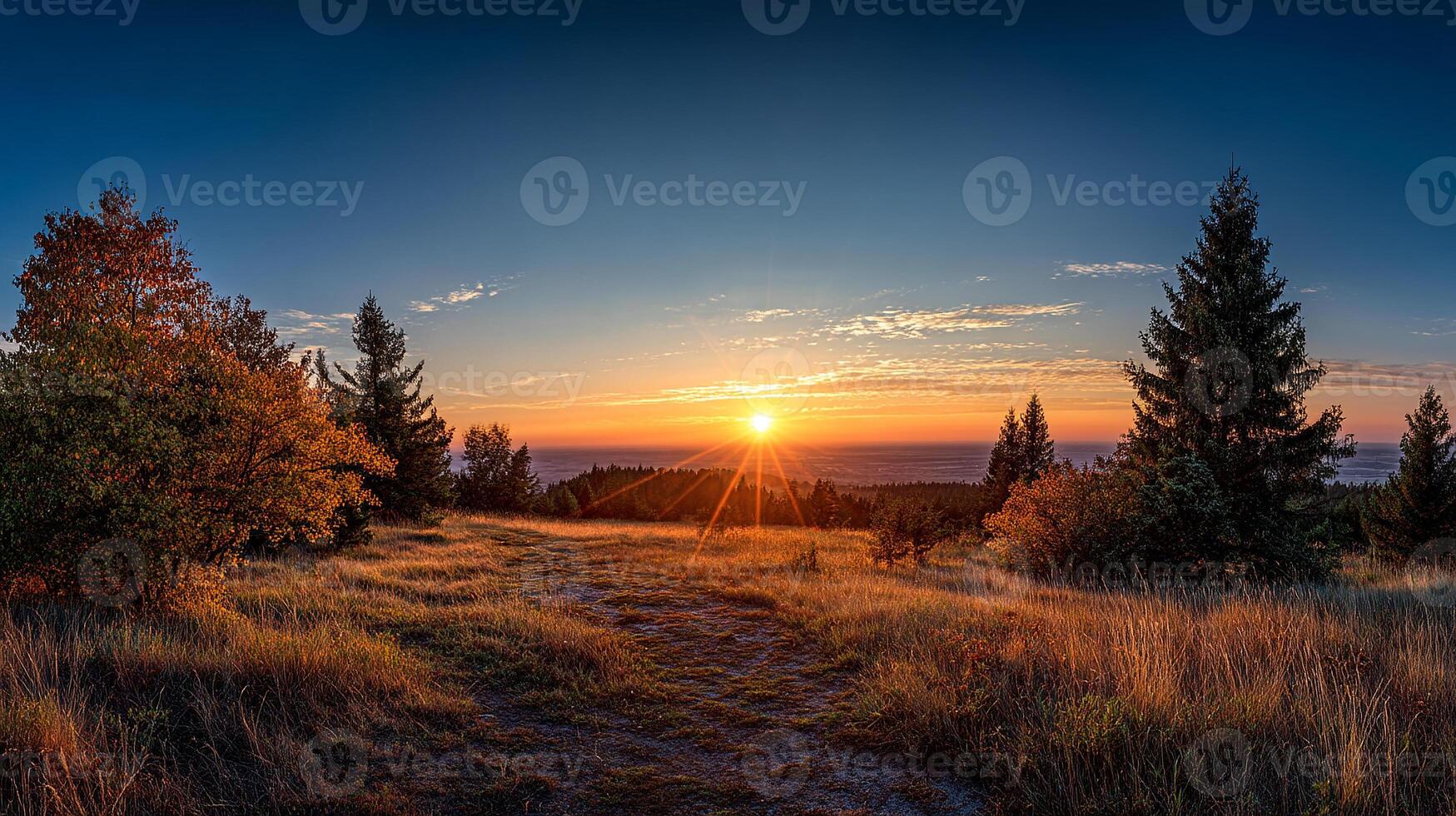 Serene and lush landscape in professional photo format and natural beauty