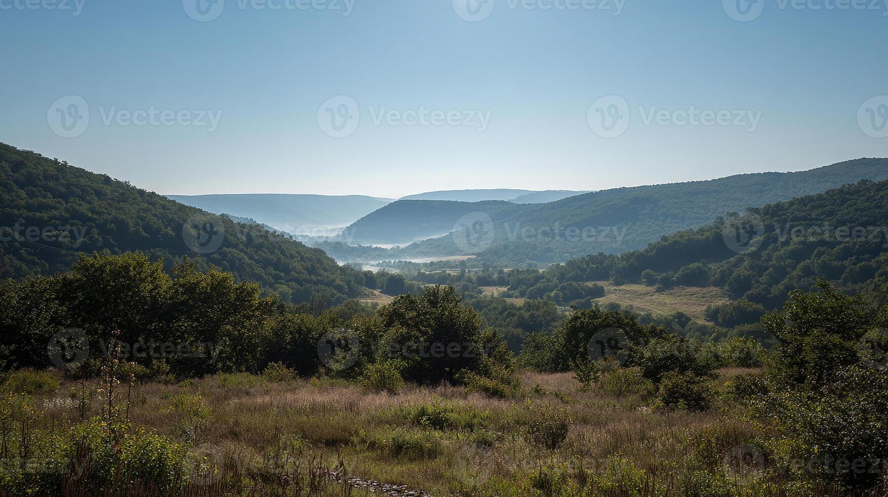 Summer field image bathed in bright daylight photo