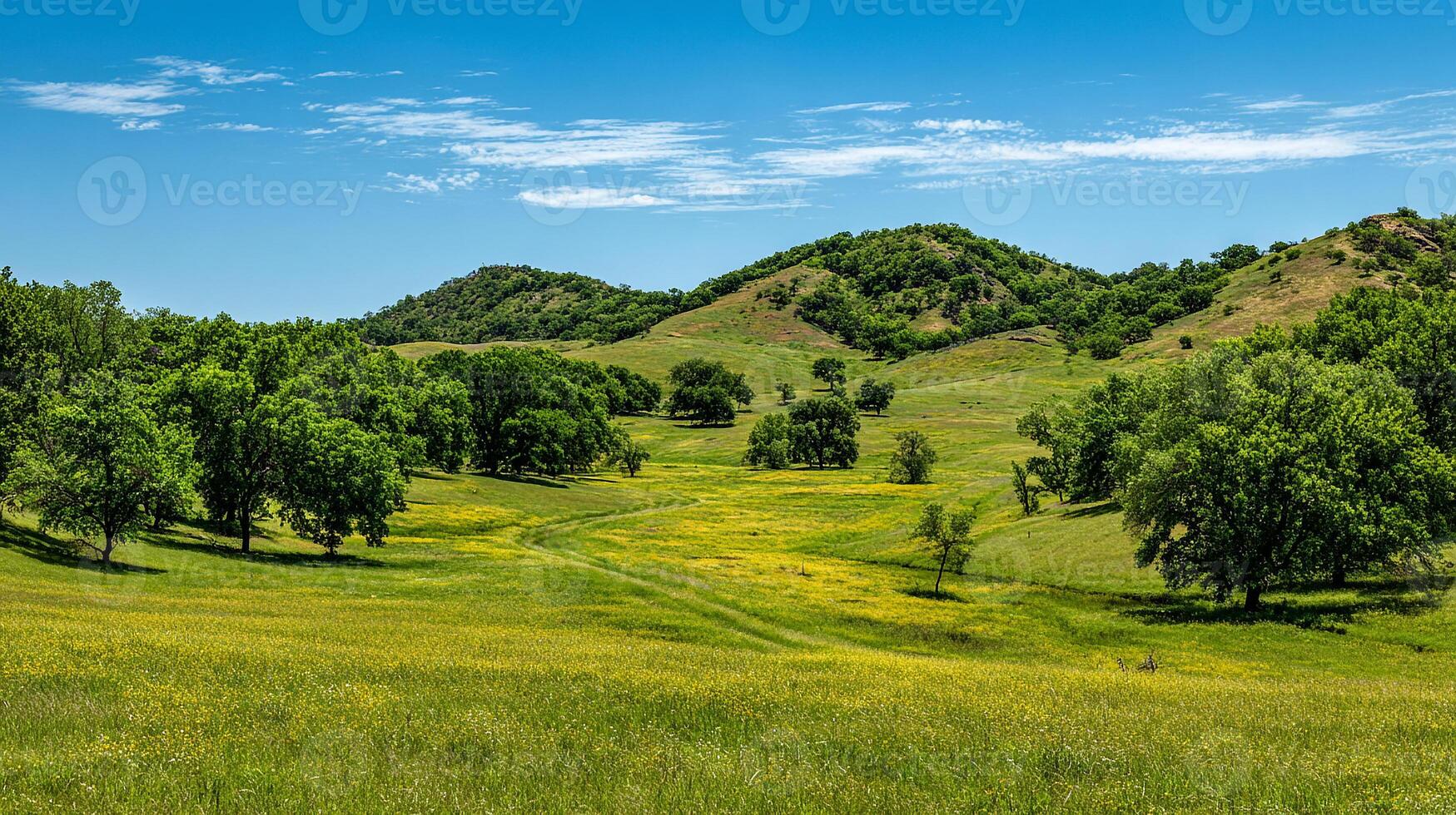 Clear sky over vibrant summer landscape image photo