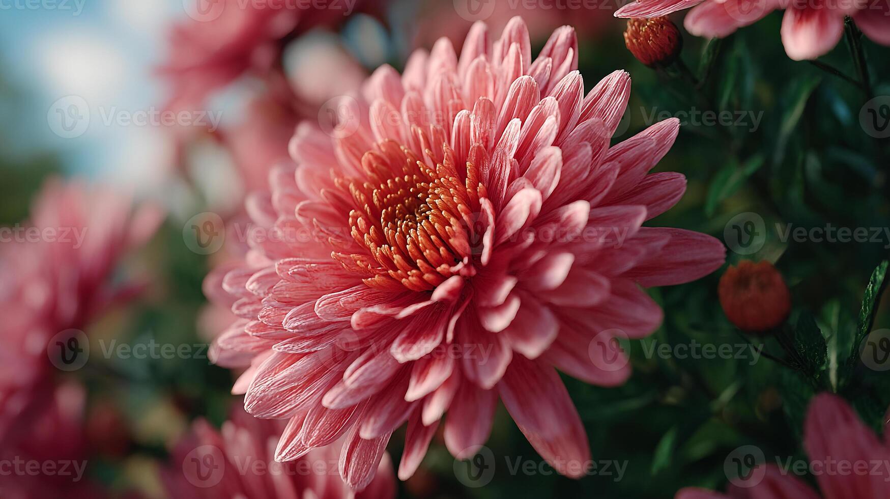Close up flower with natural scenery background photo