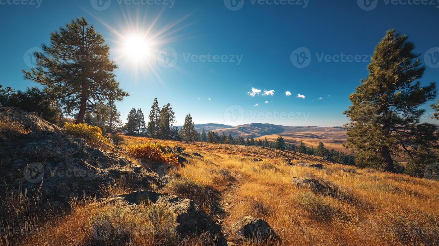 Commercial quality wallpaper photo of serene outdoor view