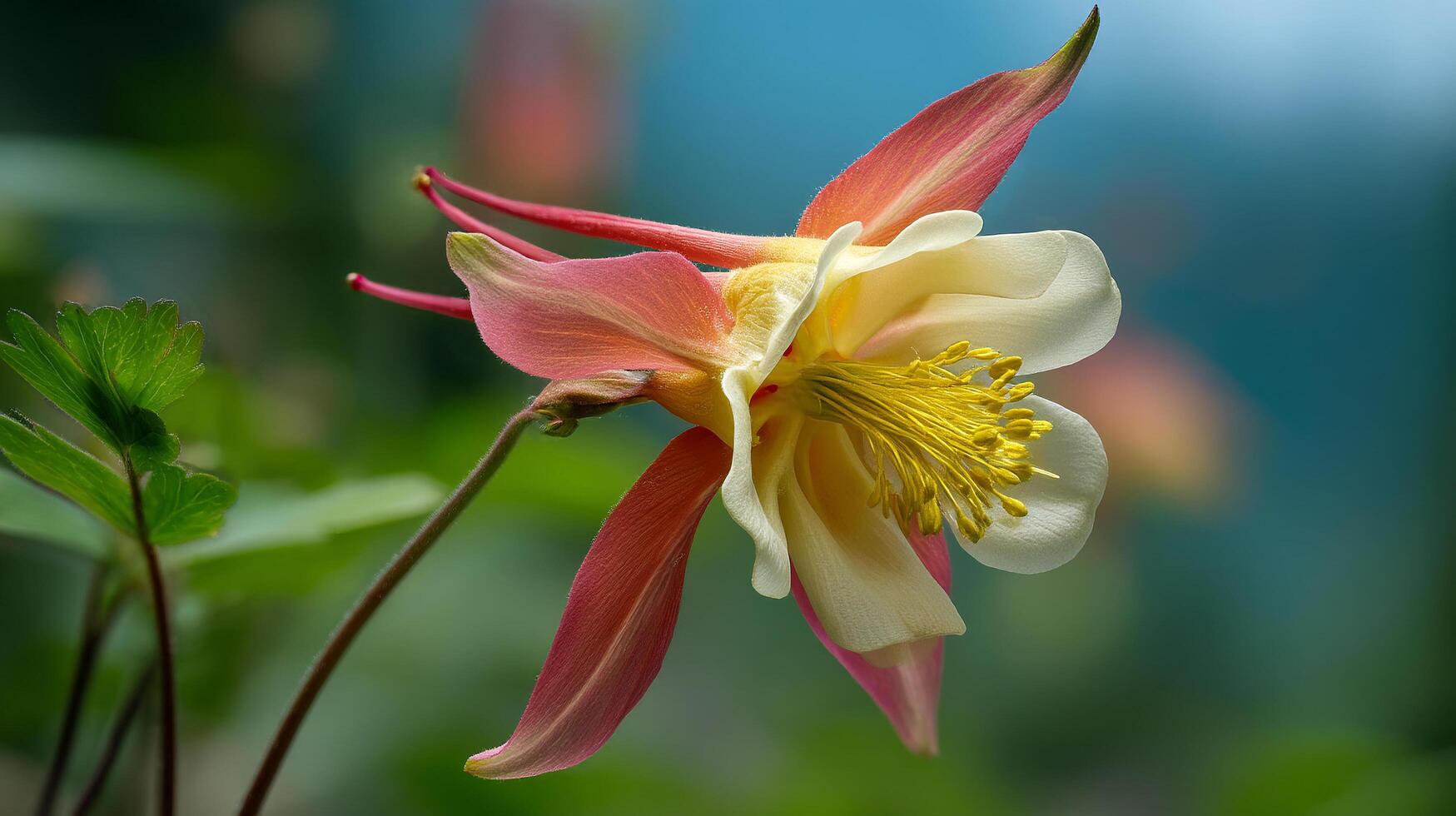 Nature bloom photo with realistic textures and scenery