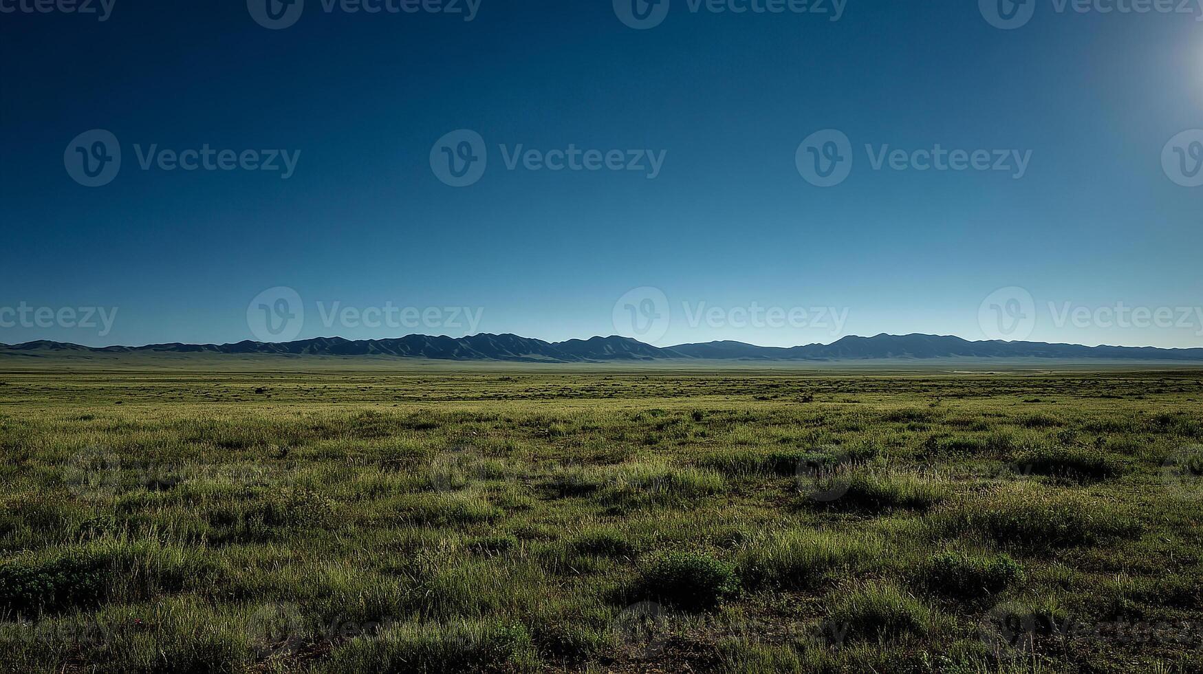 Photorealistic summer meadow image with lush greenery photo