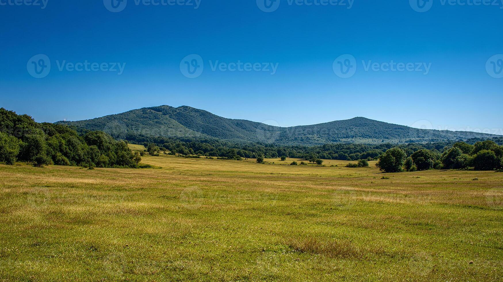 Bright summer meadow image under clear blue skies photo