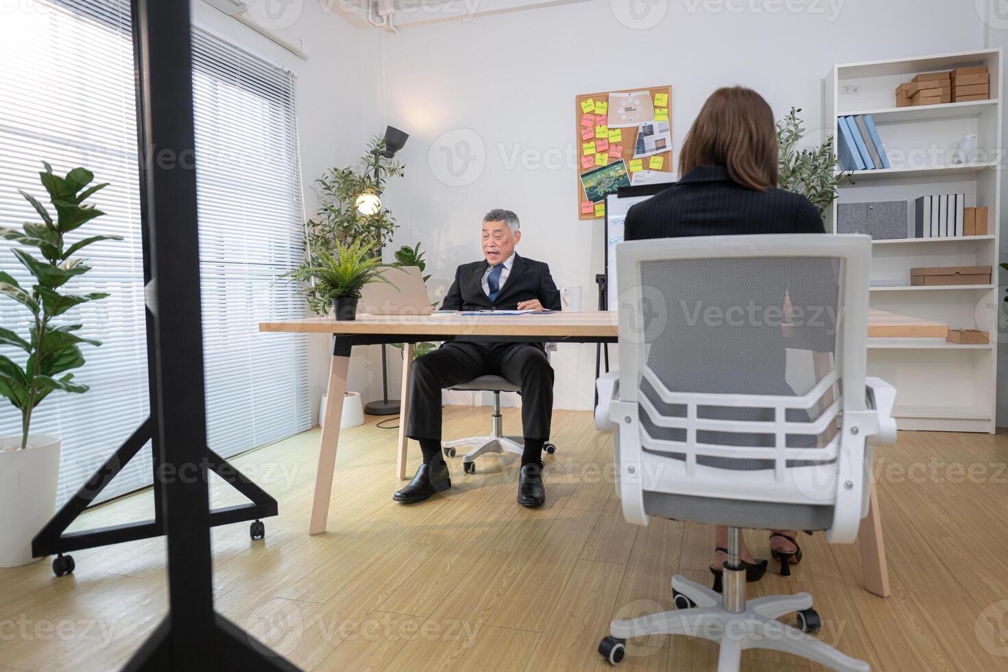 Boss and assistant are on a mission to monitor the progress of a business project,206 photo