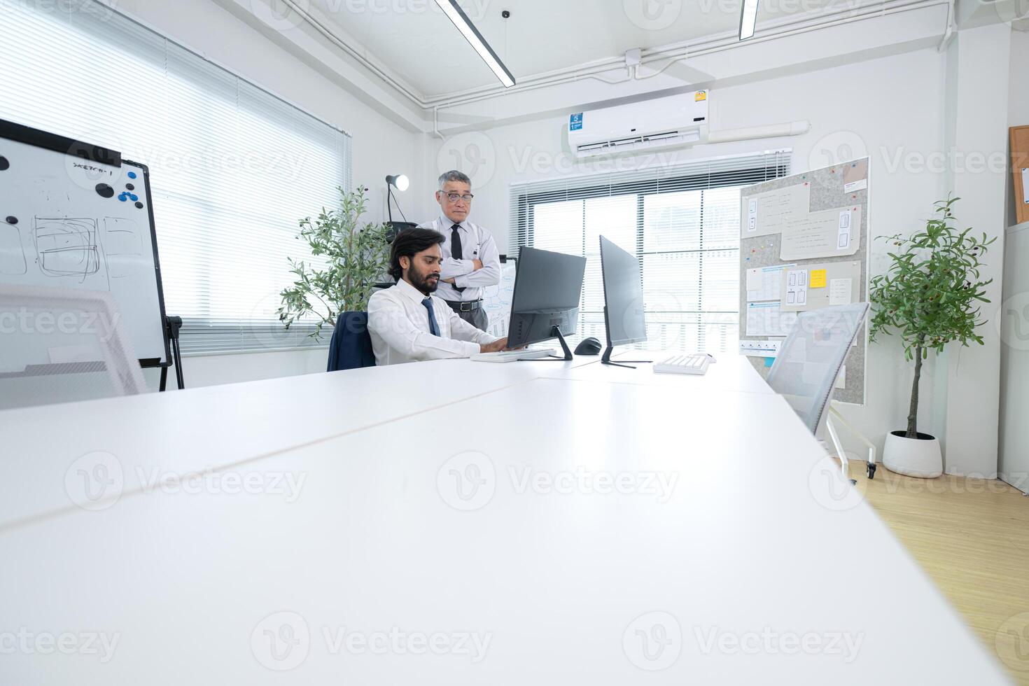 In a contemporary office, two senior executives with a mission to brainstorm and monitor,91 photo