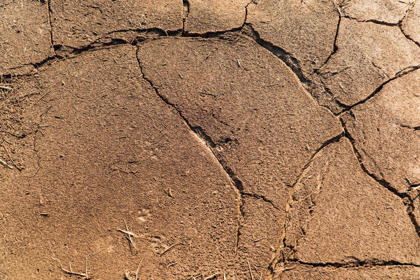 The ground has cracks top view. Soil cracked background photo