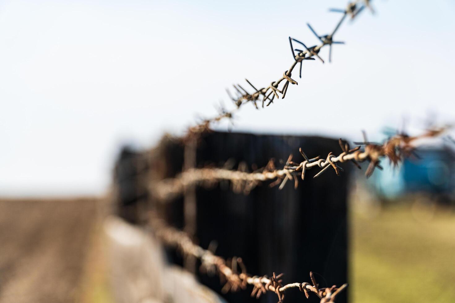 Barbed metal wire on a wooden fence. Selective focus photo