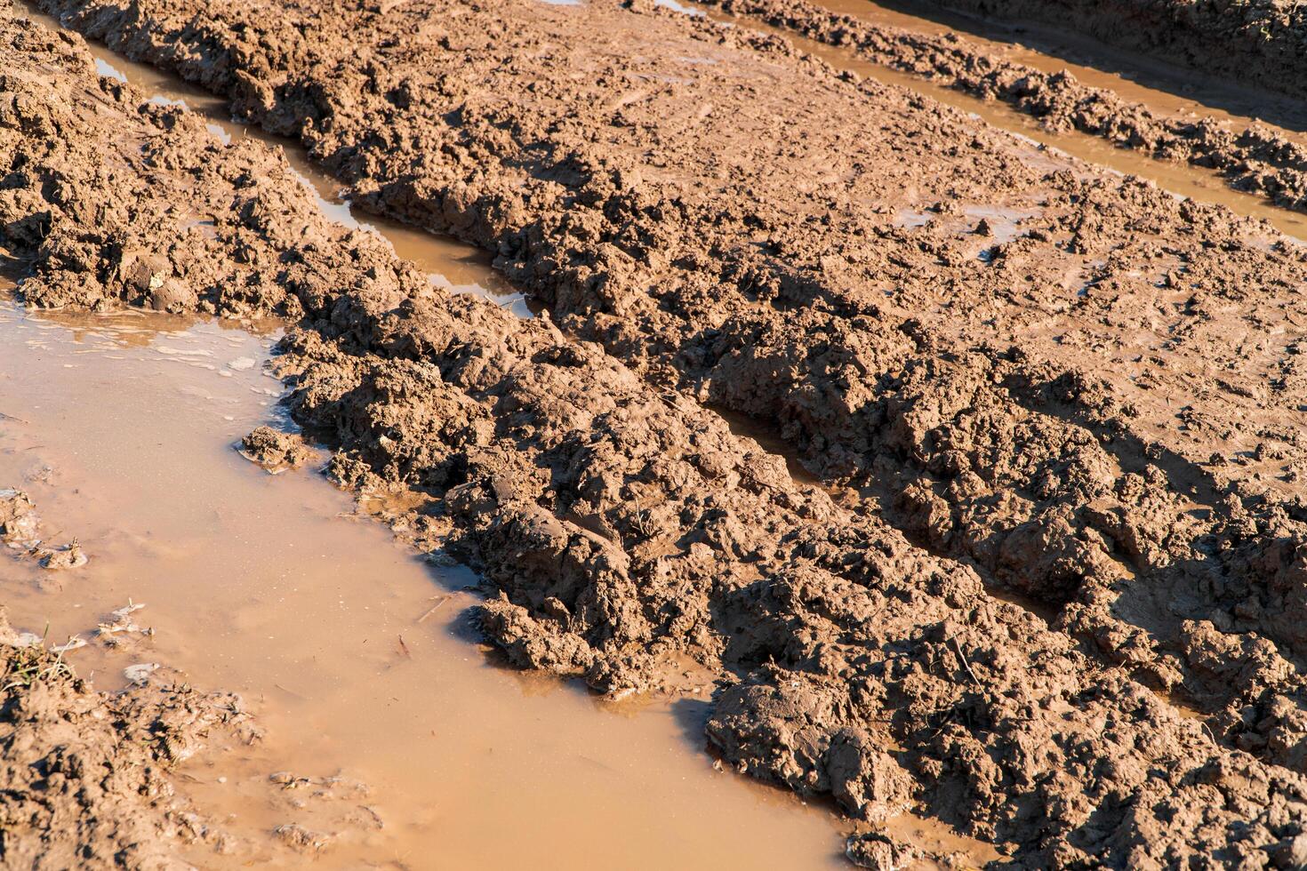 A dirt road in a field after rain. Puddles on a dirt road photo