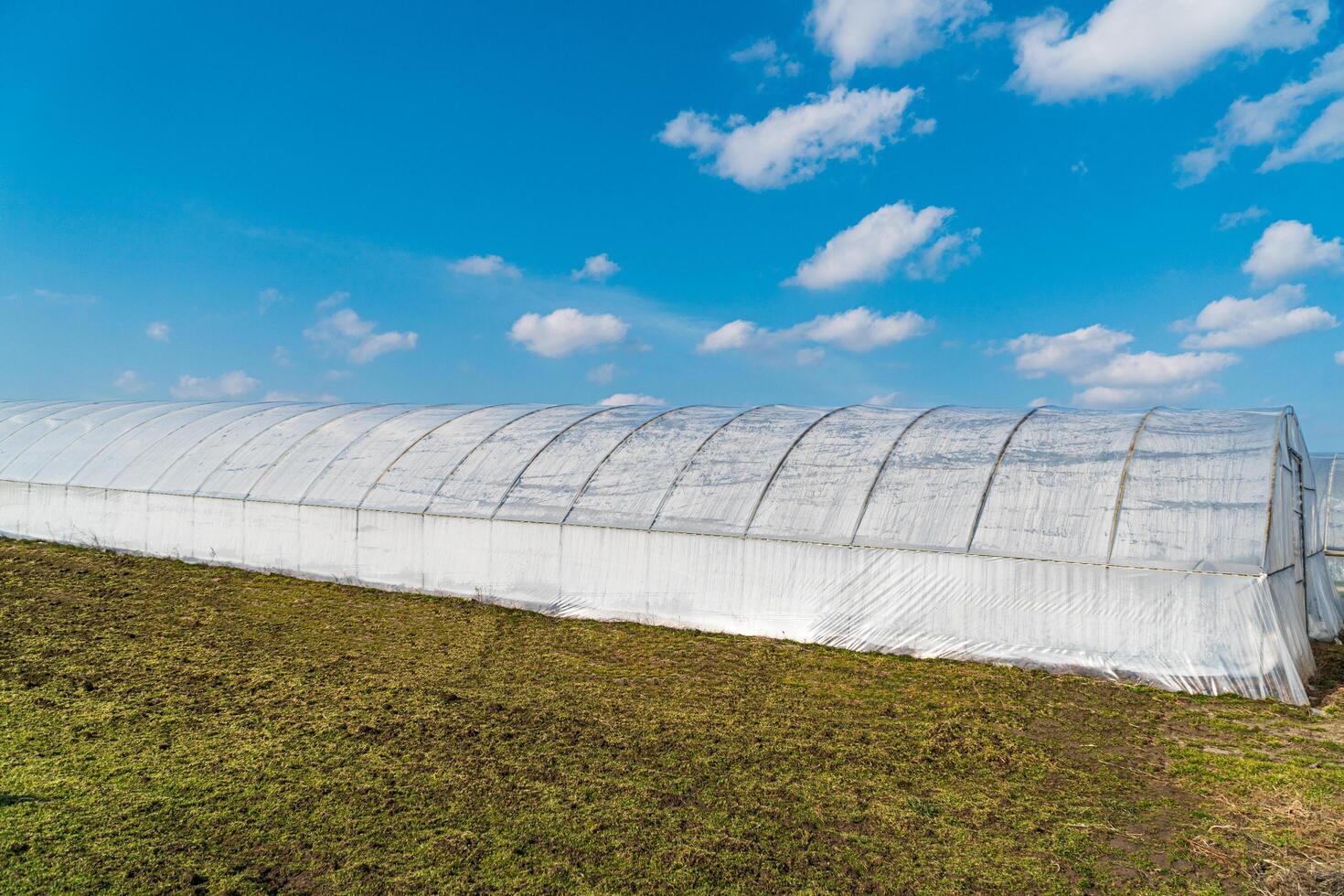 Polythene greenhouse for growing vegetables. Plants crop in greenhouse. Greenhouse outside photo