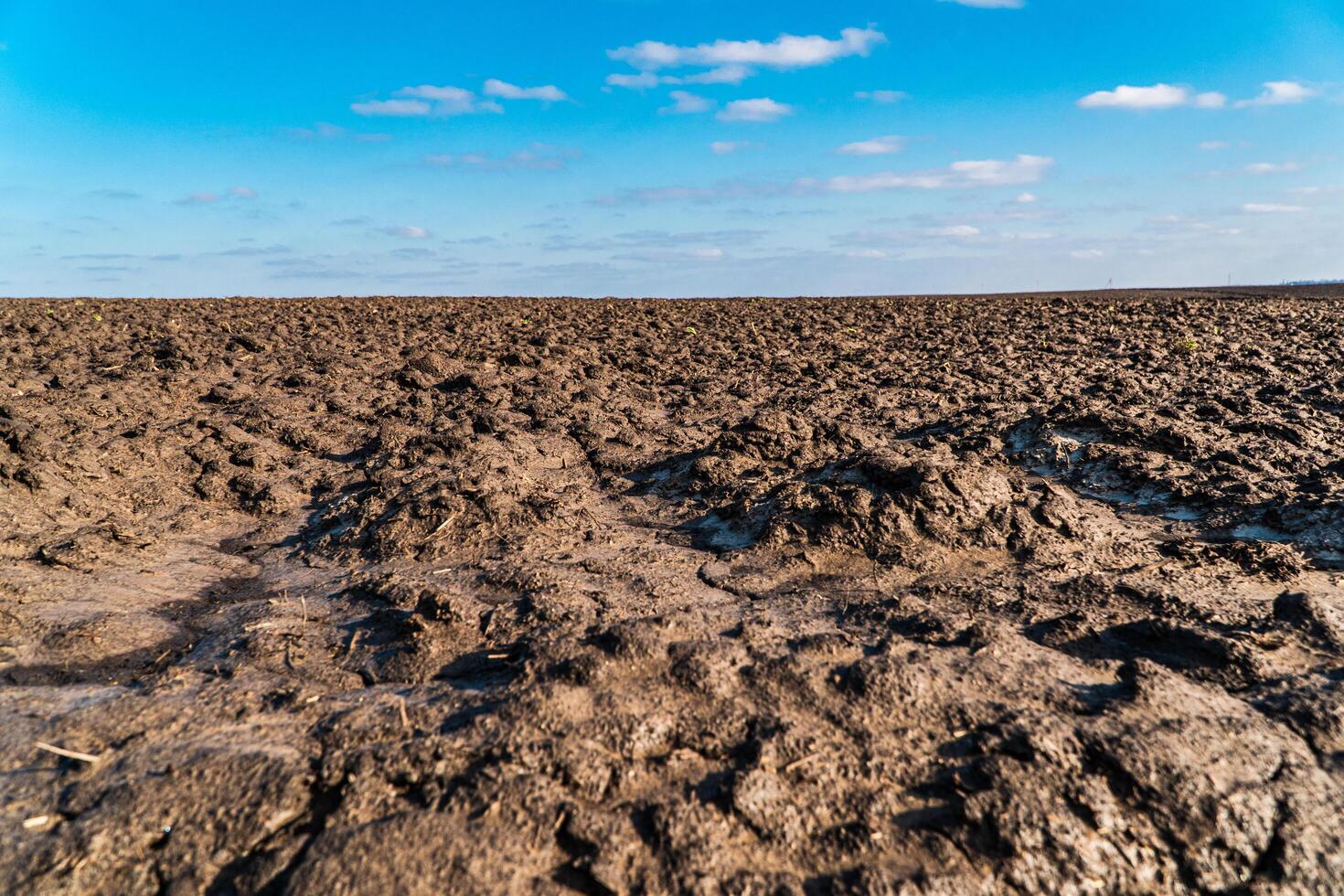 Agricultural field in early spring. Field and blue sky with clouds. Concept of spring agriculture. Agricultural process photo