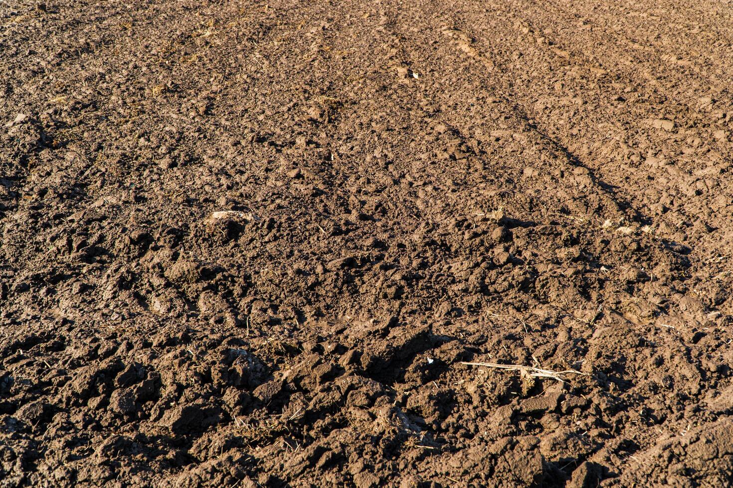 Agricultural plowed field. Concept of spring agriculture. Soil close up photo