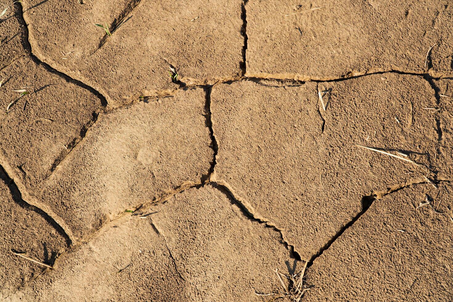 Brown cracked ground. Because of global warming. Effects of climate change. Dry cracked soil texture photo