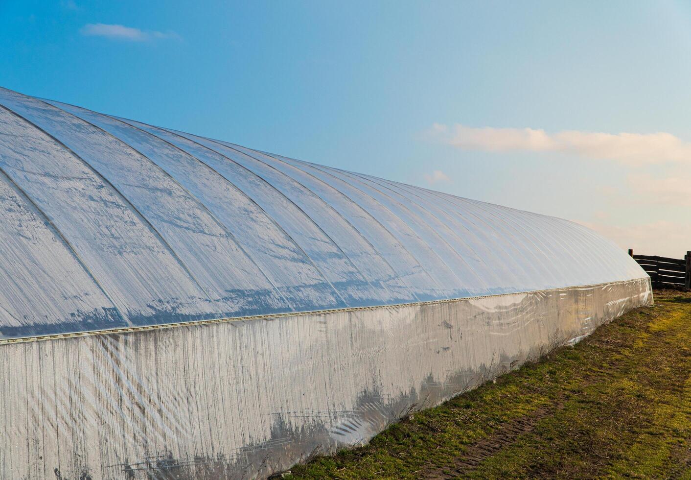 Polythene tunnel handmade greenhouse. Growing vegetables in a greenhouse. Farm and food industry photo