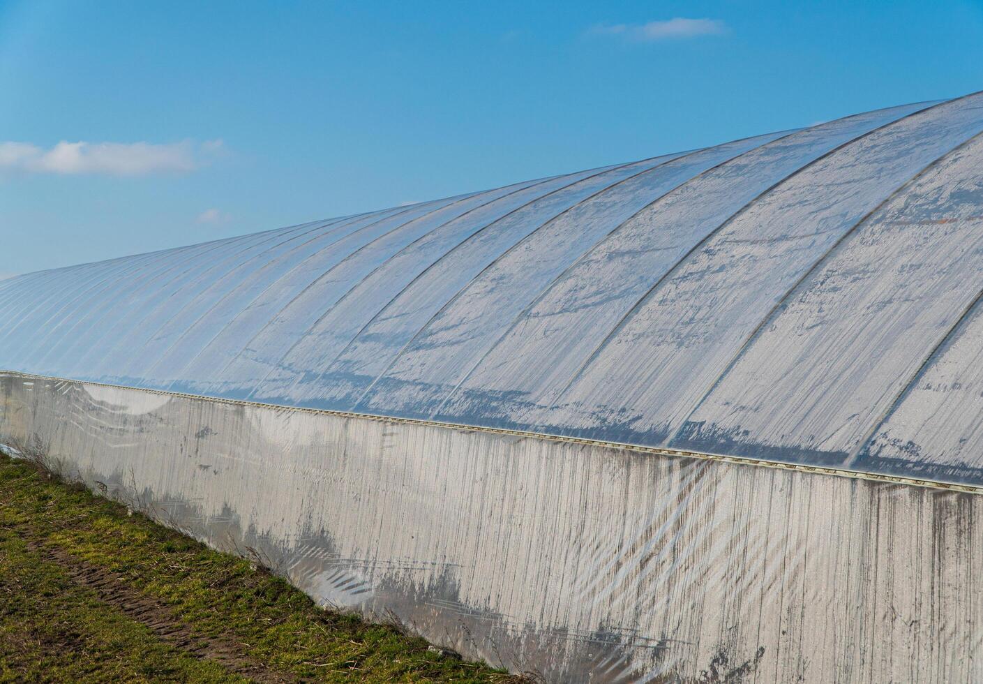 Greenhouse tunnel from polythene plastic. Greenhouse with vegetables. Under the bright blue sky photo