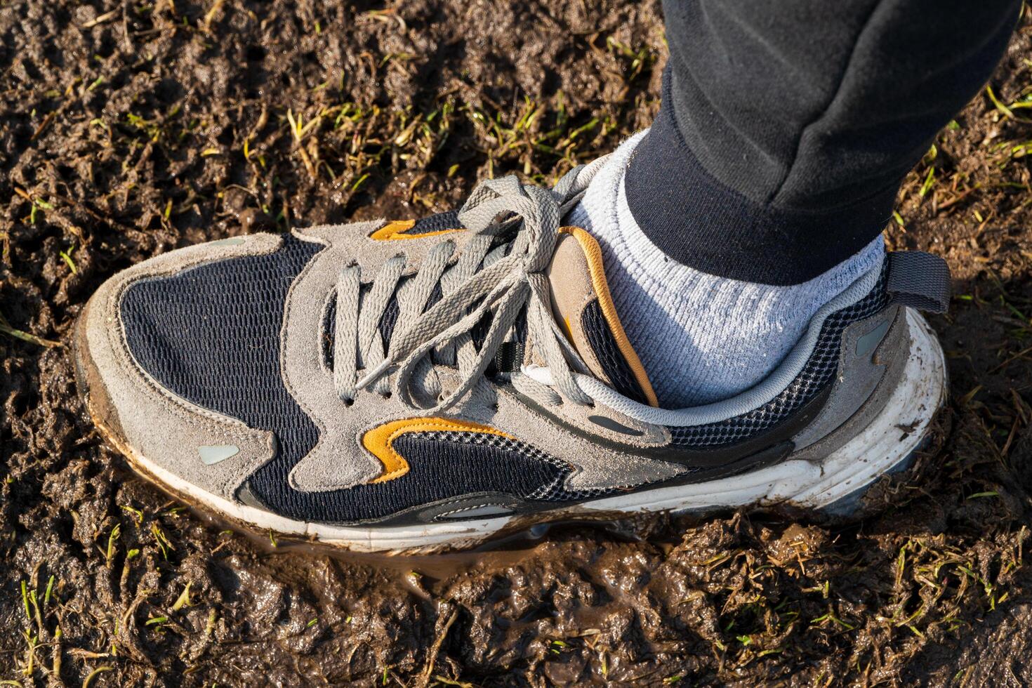 The man's sneakers are stepping in the swamp. Sneakers in the swamp photo