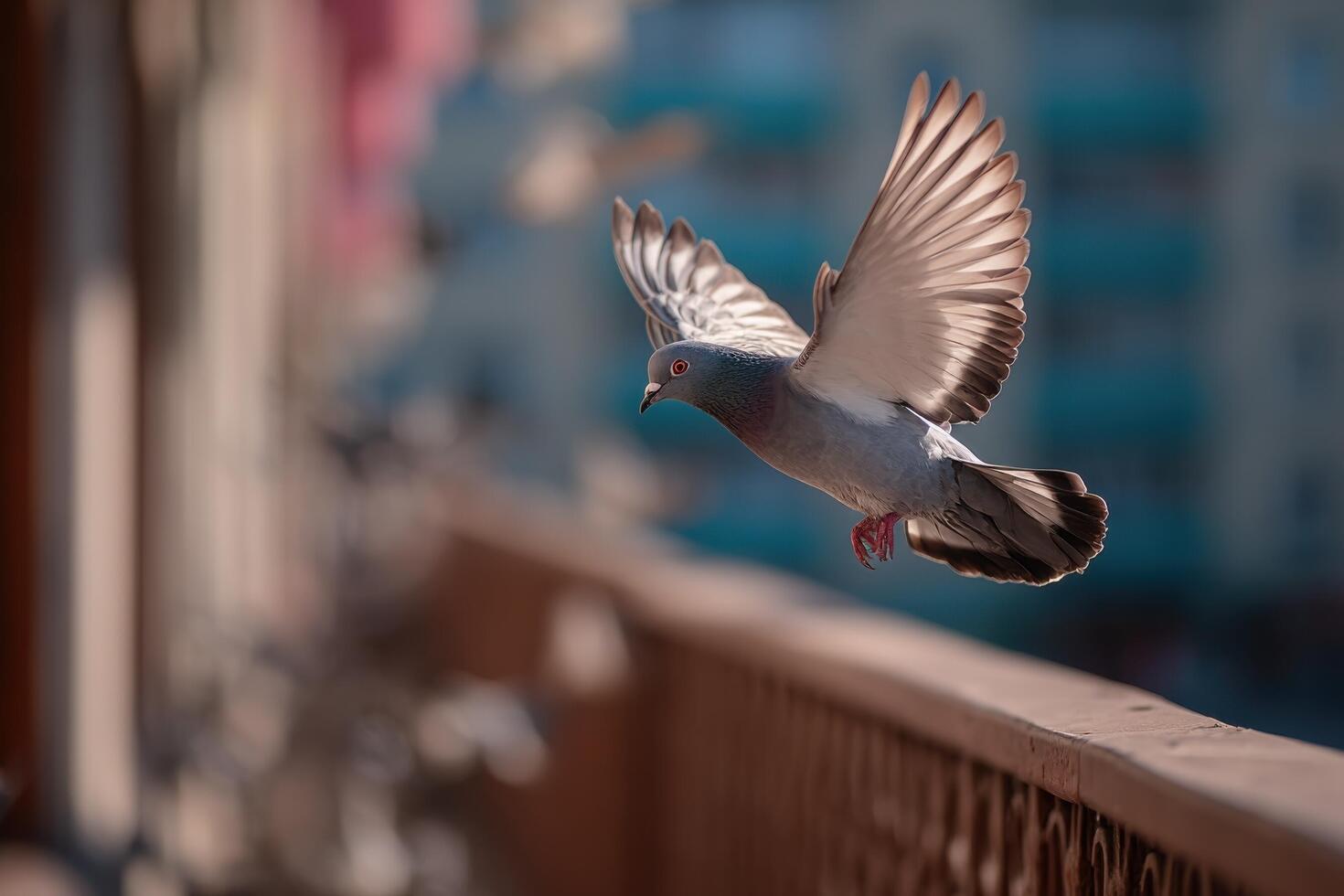 A pigeon is flying over a building photo