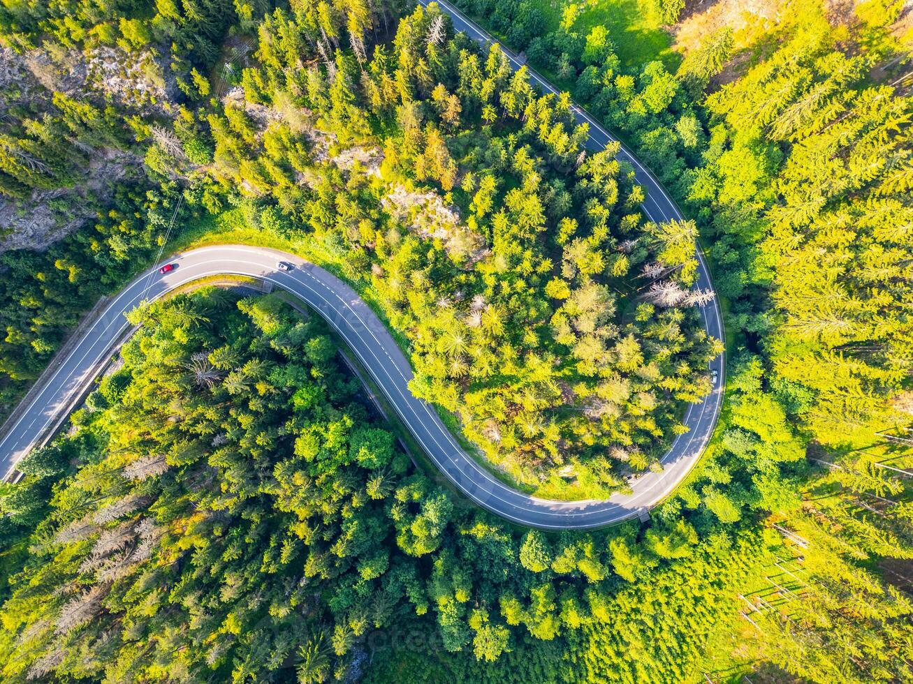 A serpentine asphalt road curves through a dense forest valley filled with vibrant green trees under clear skies. The landscape offers a perfect escape into nature tranquility. photo