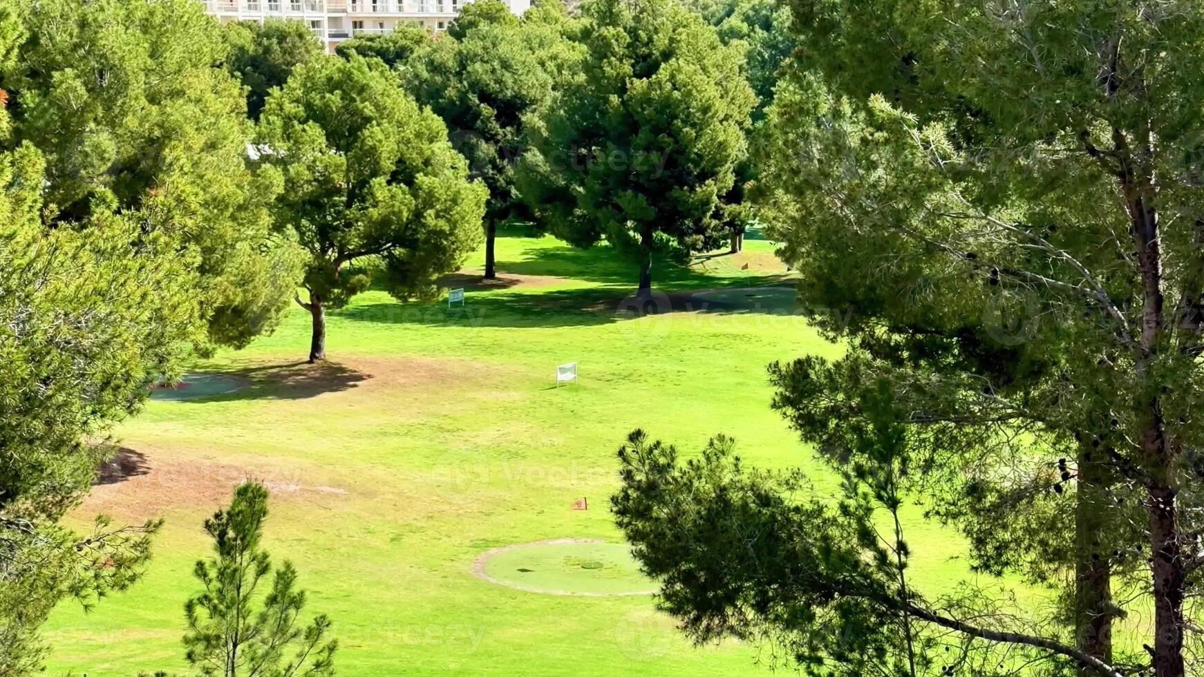 A breathtakingly scenic view of a vast golf course featuring tall trees and a vibrant, lush green grass photo