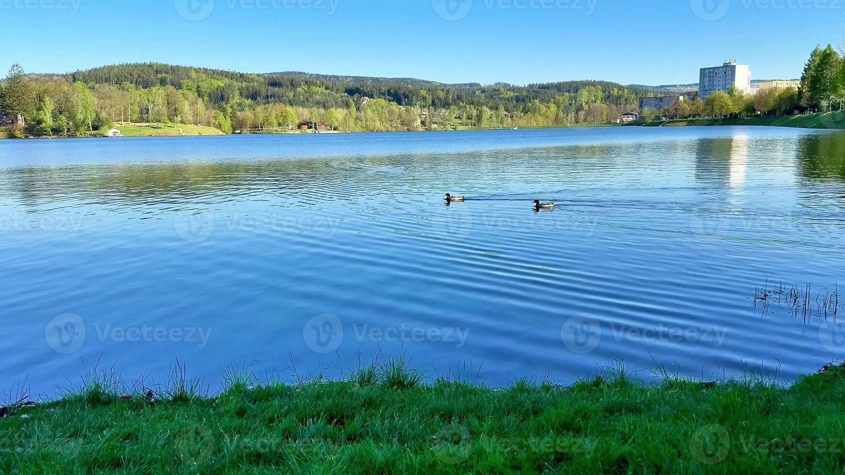 A serene scene unfolds as two ducks glide across a tranquil lake under the sun, with majestic mountains enhancing the peaceful atmosphere photo